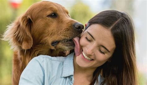 perros cojiendo|Perros follando a mujer zoofilia